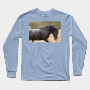 Beautiful Horse Long Sleeve T-Shirt